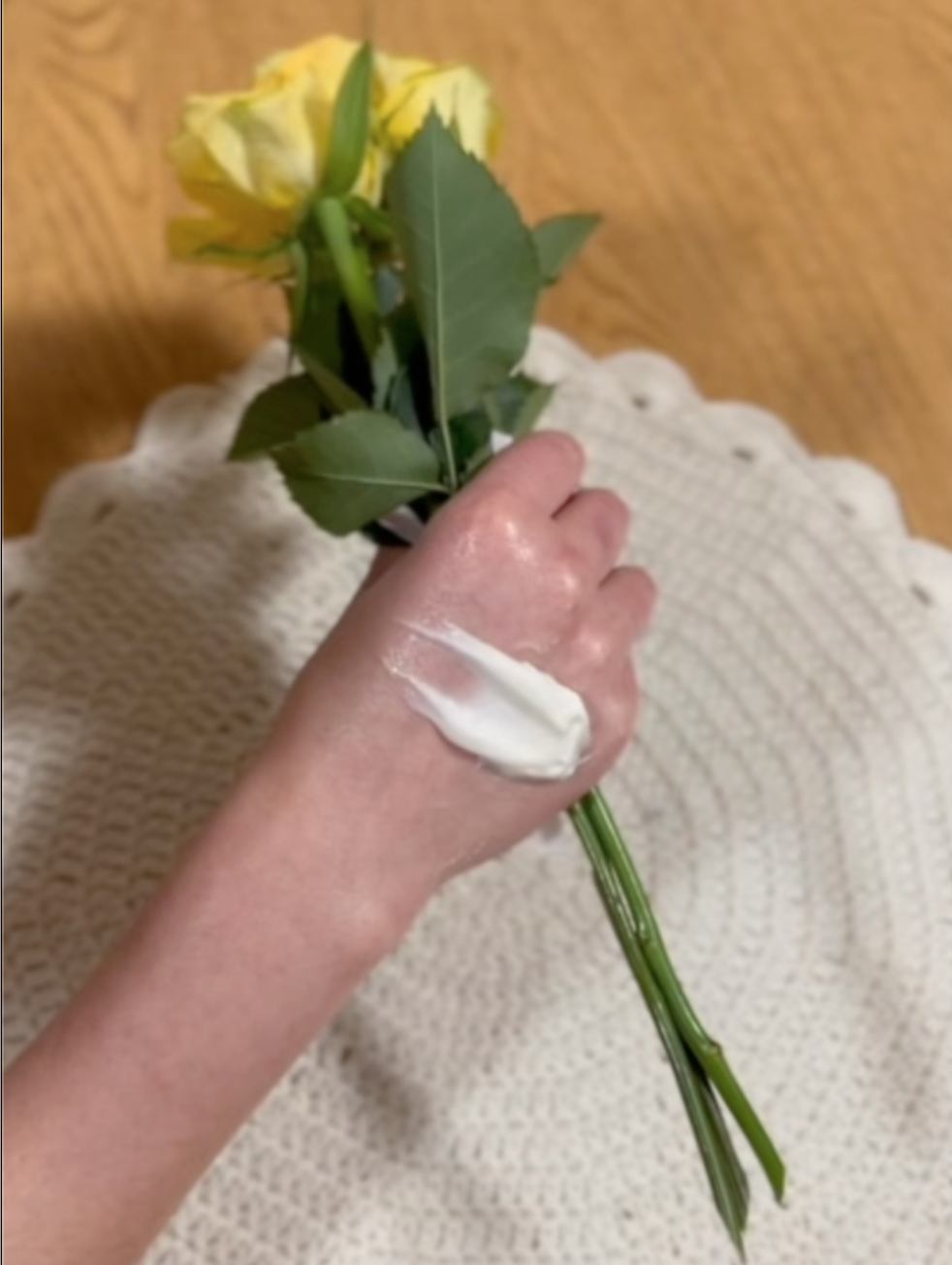 Featured image for “Our Tallow Lotion”